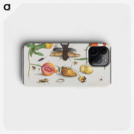 1-14_Anselmus-Boetius-de-Boodt_phone