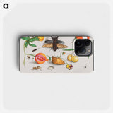 Natural History Ensemble, no. 1 - アンセルムス ボエティウス デ ブート Phone Case.