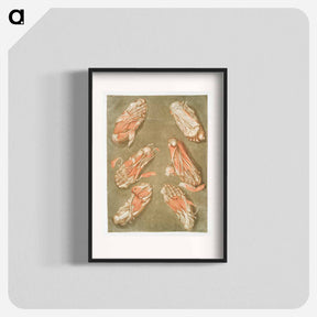 アートポスター-This fascinating collection of anatomical illustrations - アルノルド エロイ ゴーティエ ダゴティ Poster.