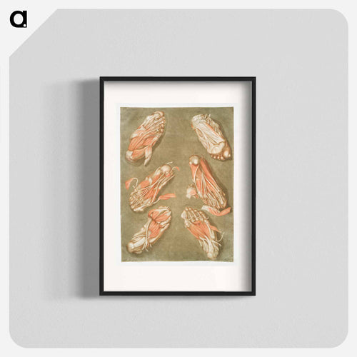 This fascinating collection of anatomical illustrations - アルノルド エロイ ゴーティエ ダゴティ Poster.