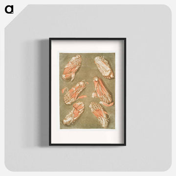 This fascinating collection of anatomical illustrations - アルノルド エロイ ゴーティエ ダゴティ Poster.