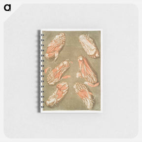 アートメモ帳-This fascinating collection of anatomical illustrations - アルノルド エロイ ゴーティエ ダゴティ Memo.