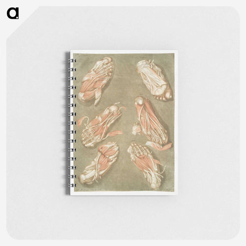 This fascinating collection of anatomical illustrations - アルノルド エロイ ゴーティエ ダゴティ Memo.