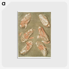 1-14_Arnauld-Eloi-Gautier-Dagoty_postcard