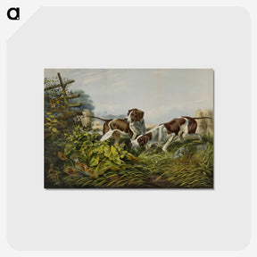 1-14_Arthur-Fitzwilliam-Tait_postcard