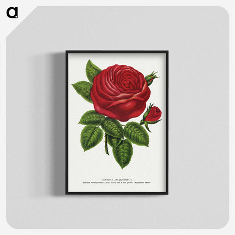 1-14_Botanical-Specimen-Plates_blk-crop