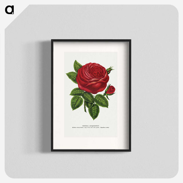 1-14_Botanical-Specimen-Plates_blk