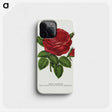 1-14_Botanical-Specimen-Plates_phone