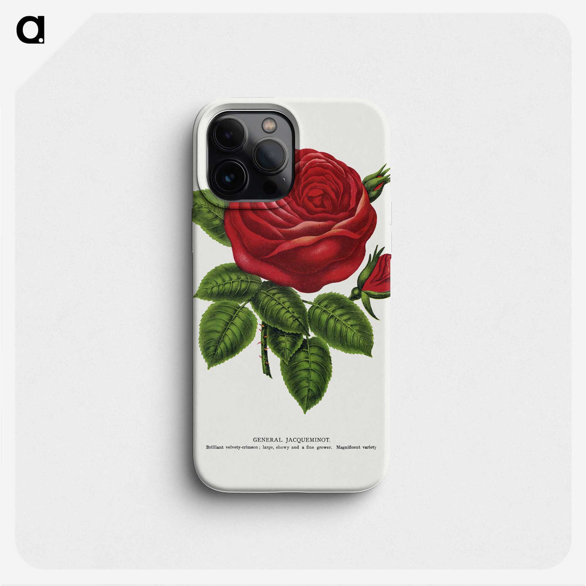 1-14_Botanical-Specimen-Plates_phone