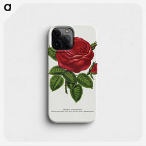 1-14_Botanical-Specimen-Plates_phone