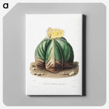 1-14_Charles-Antoine-Lemaire_canvas