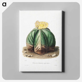 1-14_Charles-Antoine-Lemaire_canvas