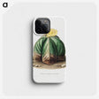 1-14_Charles-Antoine-Lemaire_phone