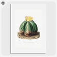 1-14_Charles-Antoine-Lemaire_picture