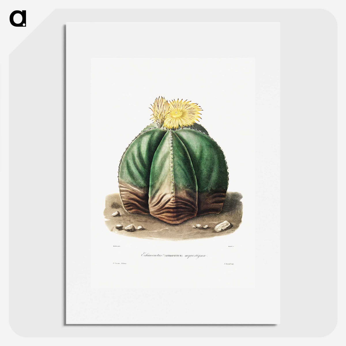 1-14_Charles-Antoine-Lemaire_picture