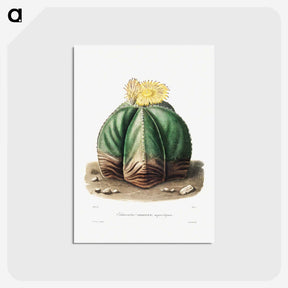 1-14_Charles-Antoine-Lemaire_postcard