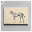 1-14_Charles-Hamilton-Smith_canvas