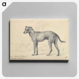 1-14_Charles-Hamilton-Smith_canvas
