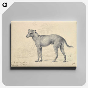 1-14_Charles-Hamilton-Smith_canvas