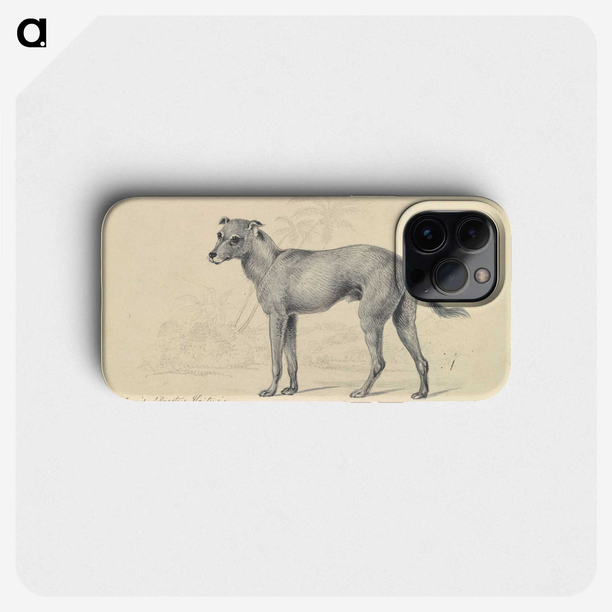 1-14_Charles-Hamilton-Smith_phone