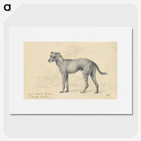 1-14_Charles-Hamilton-Smith_picture