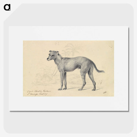 1-14_Charles-Hamilton-Smith_picture