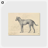 1-14_Charles-Hamilton-Smith_postcard