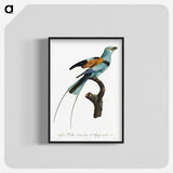 1-14_Des-Oiseaux-de-Paradis_blk-crop