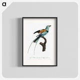 1-14_Des-Oiseaux-de-Paradis_blk