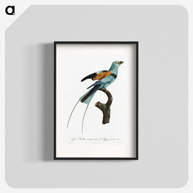 1-14_Des-Oiseaux-de-Paradis_blk