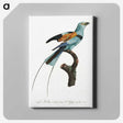 1-14_Des-Oiseaux-de-Paradis_canvas