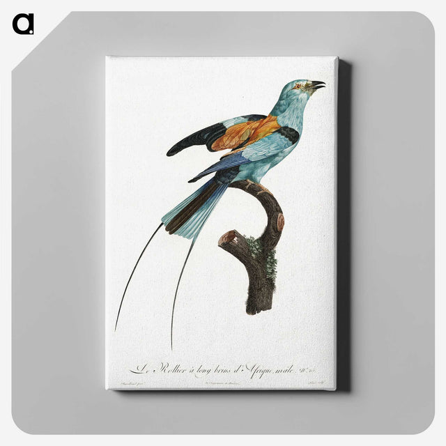 1-14_Des-Oiseaux-de-Paradis_canvas
