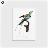 1-14_Des-Oiseaux-de-Paradis_hagaki