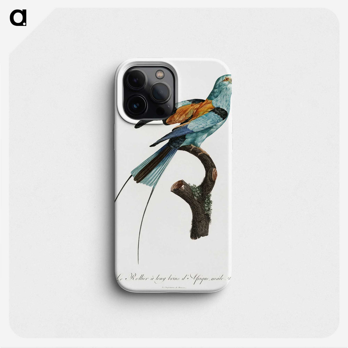 1-14_Des-Oiseaux-de-Paradis_phone