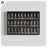 1-14_Eadweard-Muybridge_blk-crop