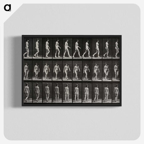 1-14_Eadweard-Muybridge_blk-crop