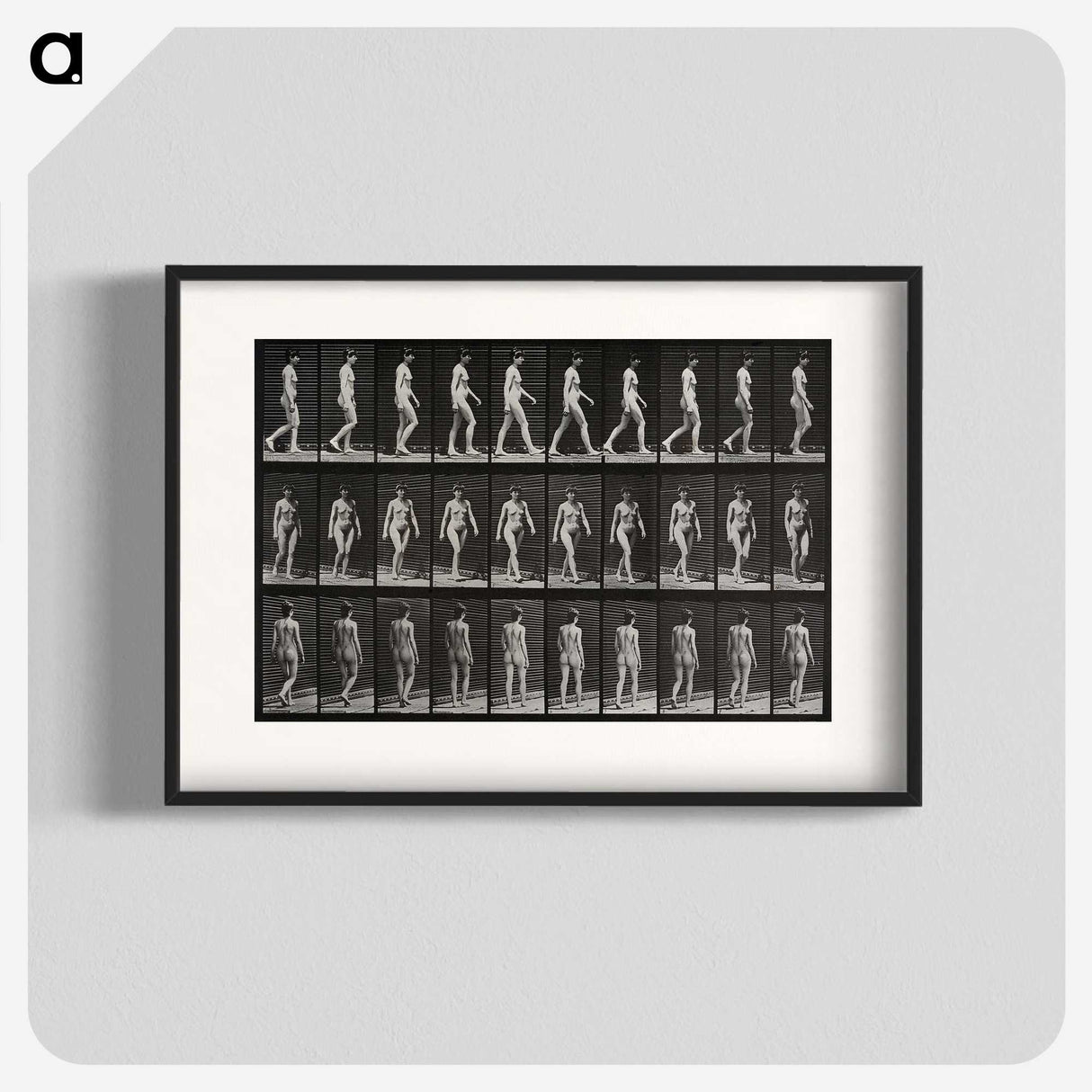 1-14_Eadweard-Muybridge_blk