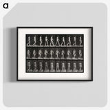 1-14_Eadweard-Muybridge_blk