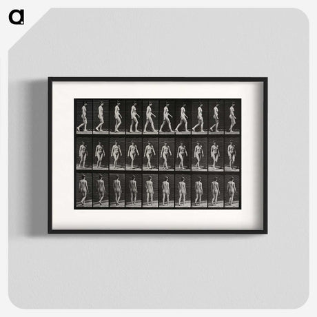 1-14_Eadweard-Muybridge_blk
