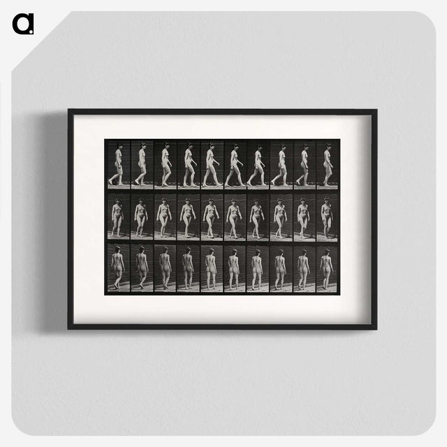 1-14_Eadweard-Muybridge_blk