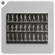 1-14_Eadweard-Muybridge_canvas