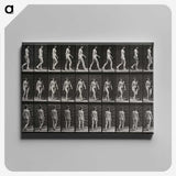 1-14_Eadweard-Muybridge_canvas