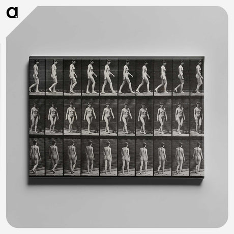 1-14_Eadweard-Muybridge_canvas