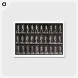 アートポストカード-Woman Walking
 - エドワード マイブリッジ Postcard.