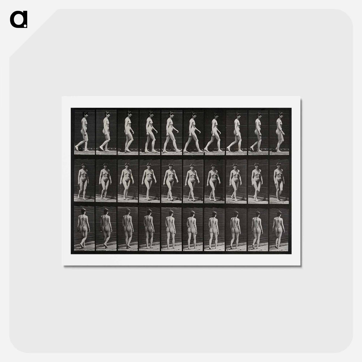 アートポストカード-Woman Walking
 - エドワード マイブリッジ Postcard.