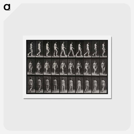 アートポストカード-Woman Walking
 - エドワード マイブリッジ Postcard.