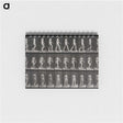 1-14_Eadweard-Muybridge_memo
