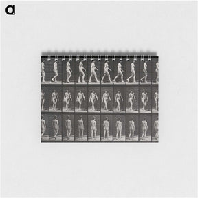 1-14_Eadweard-Muybridge_memo