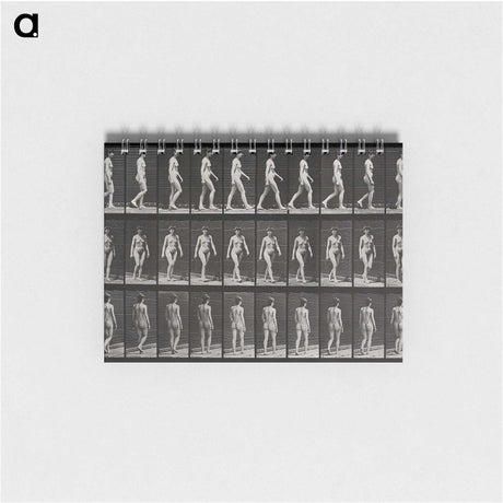 1-14_Eadweard-Muybridge_memo