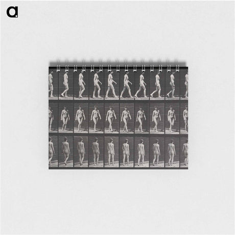 アートメモ帳-Woman Walking
 - エドワード マイブリッジ Memo.